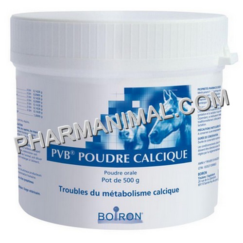 OSTEOTRAUMYL (EX PDR CALCIQUE)	pot/500 g pdr or   NSFP